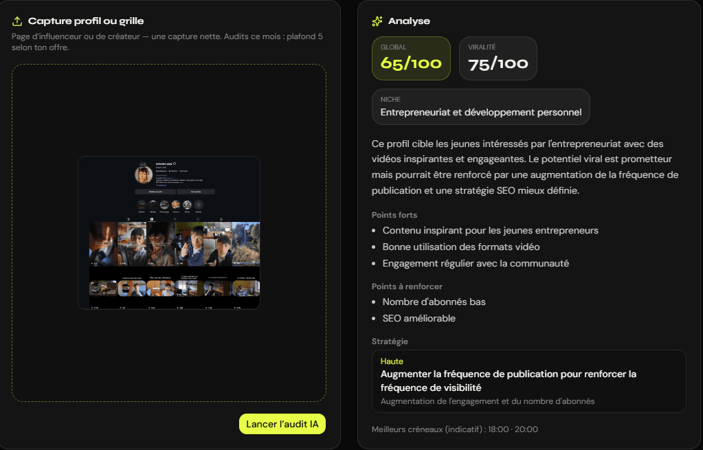Audit de profil IA